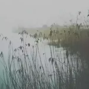 历史上水平最高的40首诗词，尽显中国诗词巅峰之美