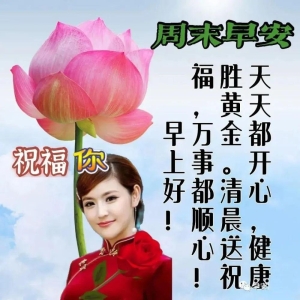 短信一条，幸福报道，祝你早上安好！