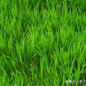 人生感悟的句子，友情