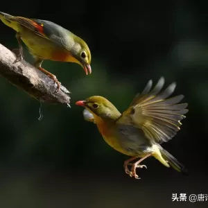三十个经典的句子，借以表达自己的相思