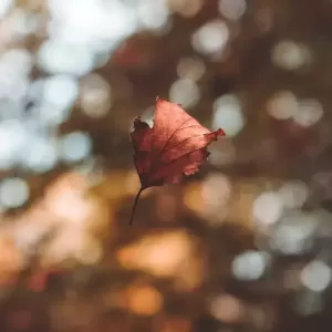古诗词中的思念，比“我想你”强一万倍