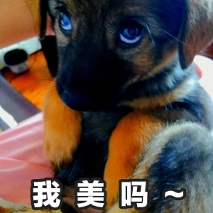 能让你笑掉大牙的经典笑话合集