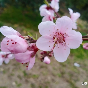 情感故事：诱惑（二）