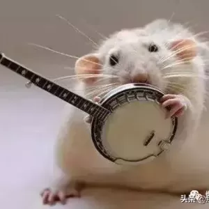 校园笑话：撰文字就服你……