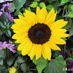 很精美的句子，发朋友圈吧