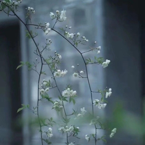 散文：人生无常，善待自己，简单生活，便是烟火中的小幸福