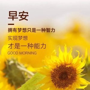 适合发朋友圈的说说经典短语，总有一句入你心