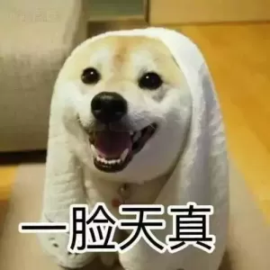 养狗之后遇到的那些糗事，好尴尬哦