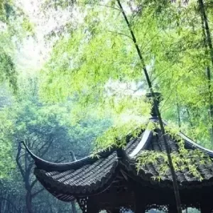 十首最美唐诗，诗美境更美