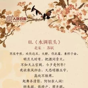 人民日报评出中国历史上高水平的40首诗词
