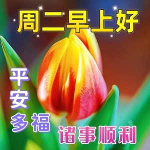 最新版漂亮的早上好短语句子