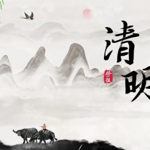 清明节有感而发的句子，思念如白马，自别离，未停蹄。