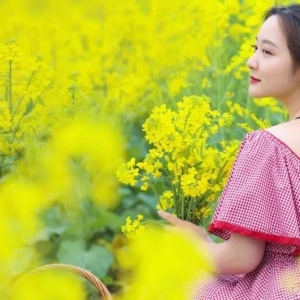 已婚的我和美丽女房东的故事