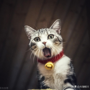那些旅行中的糗事，太搞笑了！（一）