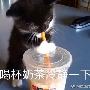 40个包你笑晕的超搞笑笑话，赶快收藏