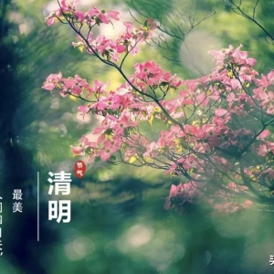清明节朋友圈短句文案，淡淡思绪，淡淡温柔