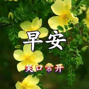 2023年最新早安祝福文案，真诚友谊在心间