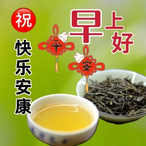 最新的早上好问候祝福语