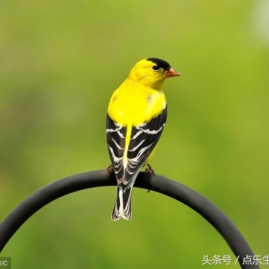 人敬人，人帮人，人比人，人害人（经典文章）