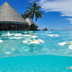 20条经典的人生感悟句子，句句刺心入骨