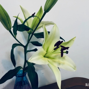 文摘拾语——那些读起来温暖如春的简短句子