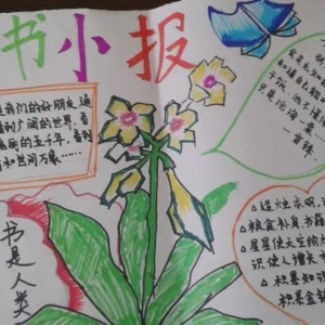 关于读书的手抄报，读书手抄报大全，关于读书手抄报文字