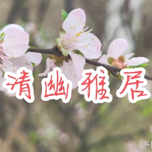 清幽雅居：谷雨时节送吉祥，祝福短语好运来