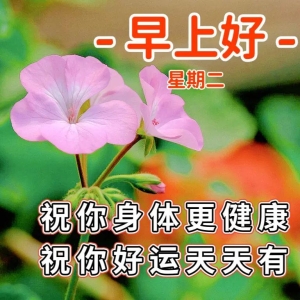 新版早安祝福问候语大全