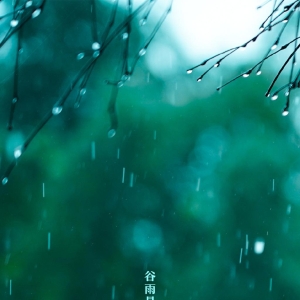 谷雨朋友圈文案，高级唯美！