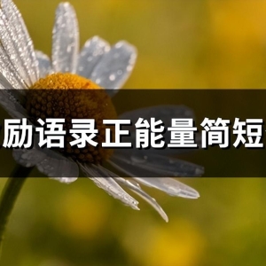 激励语录正能量简短句(优选62句)