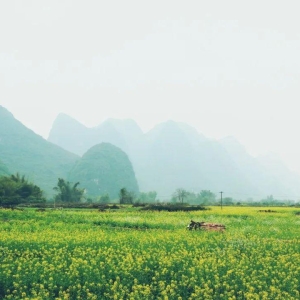9首必读山水田园诗，和风细雨，炊烟袅袅，美到心醉!