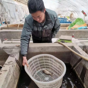 如皋残疾青年创业者张飞：身残志坚 折翼仍飞翔