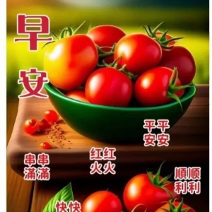 今日最新版早安问候大全，美好祝福，平安吉祥，如意安康！