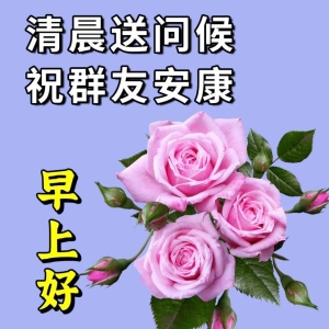 最新早上好祝福语问候语