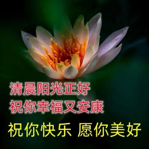 5月14日温馨早上好幸福祝福语短信句子，漂亮的早上好问候祝福语