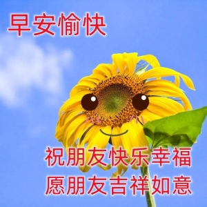 非常漂亮好看的早晨好问候动态图片 最美早安问候语短信集锦