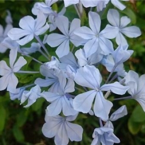 人生，有太多的无可奈何