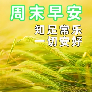早上好祝福问候短句精选