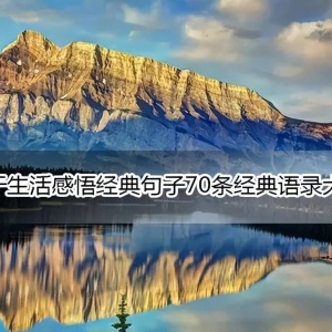 关于生活感悟经典句子70条经典语录大全