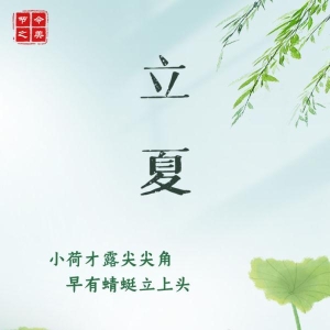 节令之美·立夏丨酸酸甜甜，有一种初夏味道叫青梅