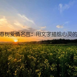 村上春树爱情名言：用文字描绘心灵的漂泊