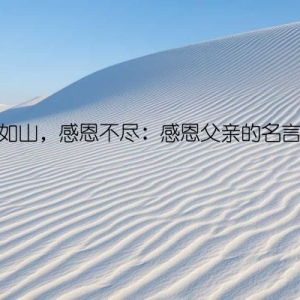 父爱如山，感恩不尽：感恩父亲的名言名句