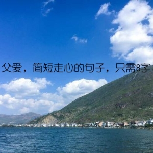 父爱，简短走心的句子，只需8字