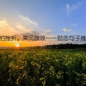 不怕挫折，乘风破浪——励志句子推荐