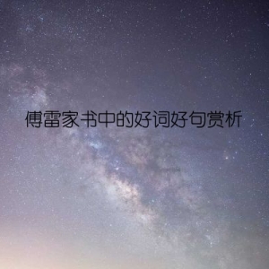 傅雷家书中的好词好句赏析