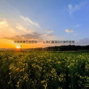 传统美德名言名句——让我们重温的优雅和智慧
