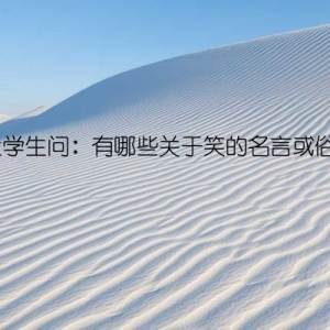 班上学生问：有哪些关于笑的名言或俗语？