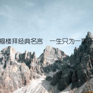 福楼拜经典名言  一生只为一事狂