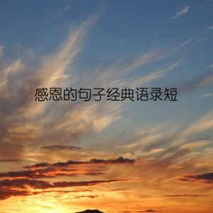 感恩的句子经典语录短