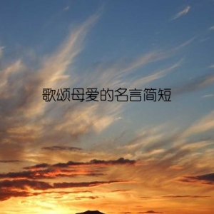 歌颂母爱的名言简短
